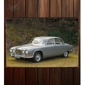 Металлическая табличка Jaguar 420